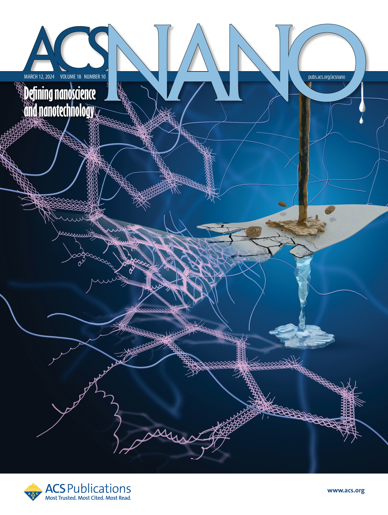 ACS Nano cover FINAL small